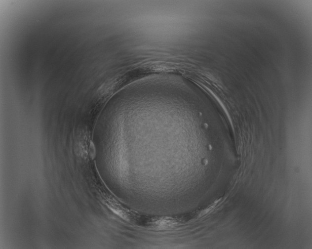 X0000058130325200509261307