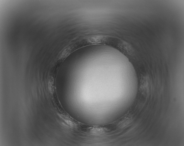 X0000058130332200509261307