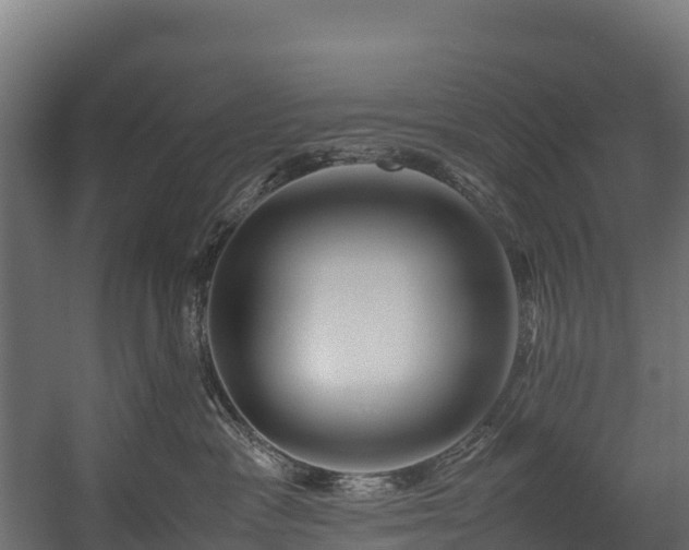 X0000058130333200509261307