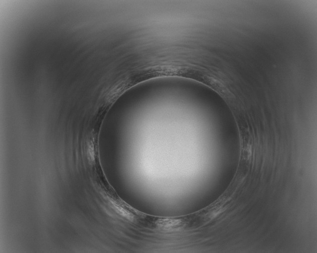X0000058130334200509261307