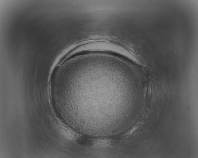 X0000058130342200509261306