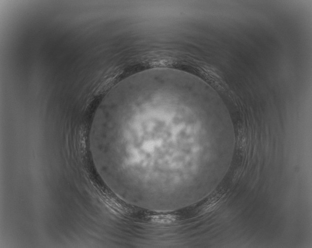 X0000058130363200509261306