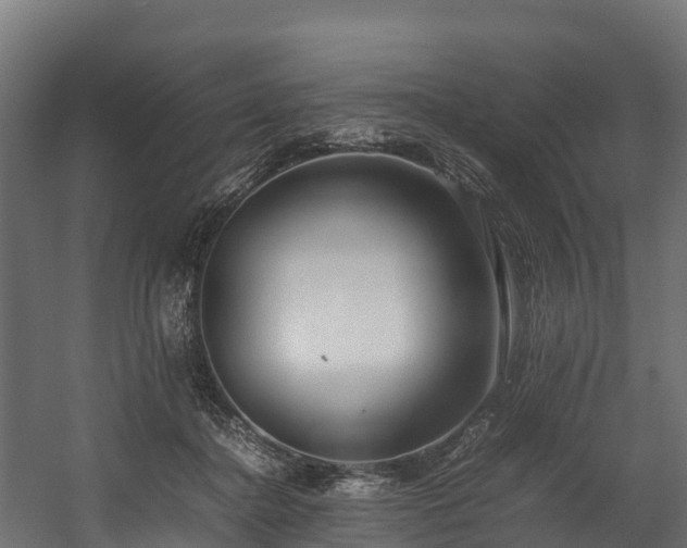 X0000058130364200509261306