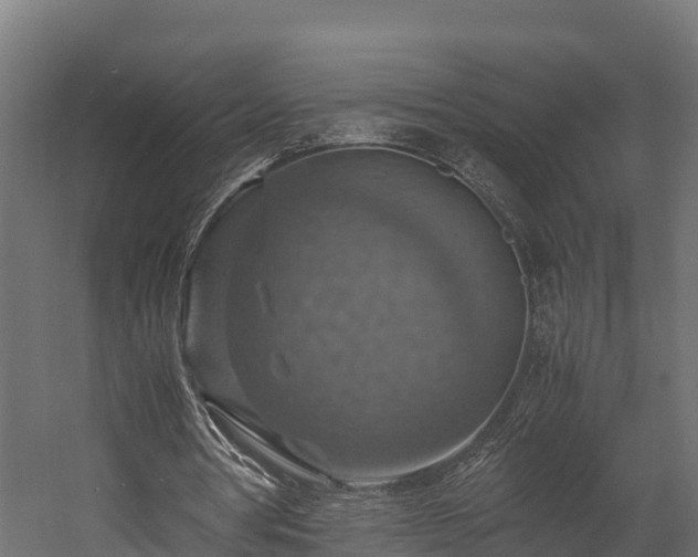X0000058130386200509261306