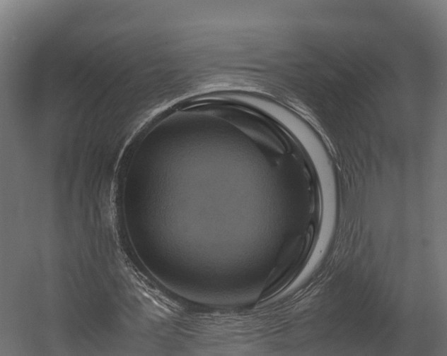 X0000058130387200509261306