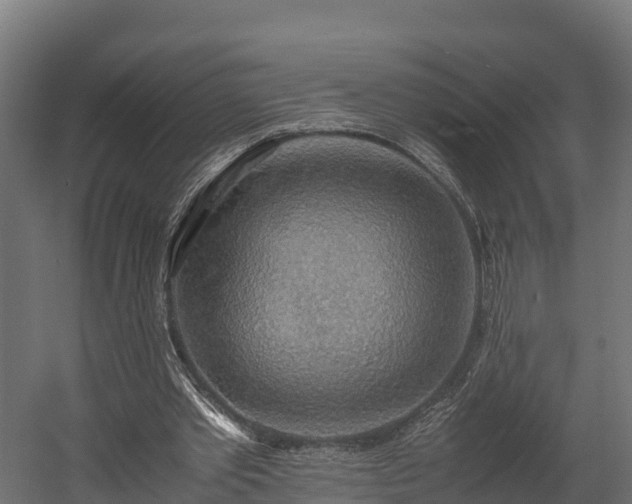 X0000058130389200509261306