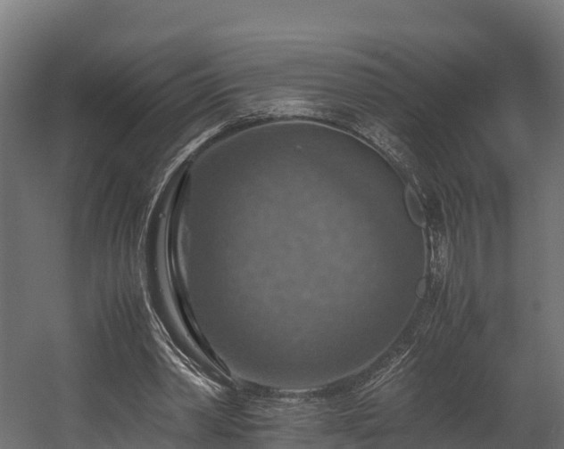 X0000058130390200509261306