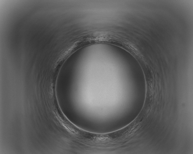 X0000058130401200509261306