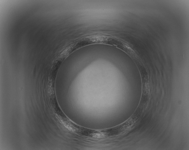 X0000058130411200509261306
