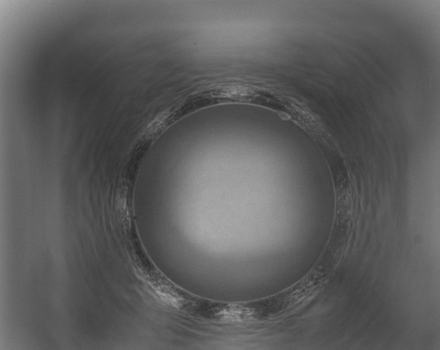 X0000058130415200509261305