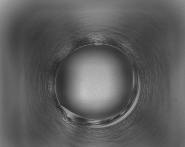 X0000058130417200509261305