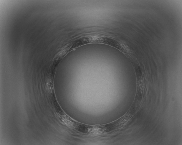 X0000058130419200509261305