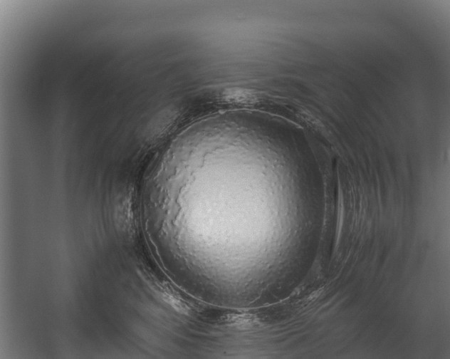 X0000058130424200509261305