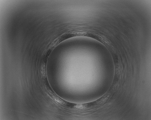 X0000058130425200509261305