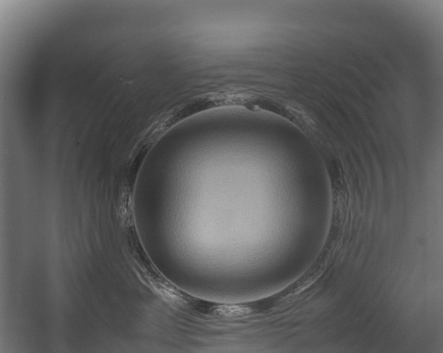 X0000058130429200509261305