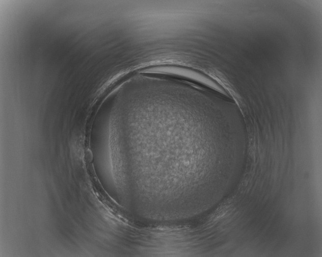X0000058130434200509261304