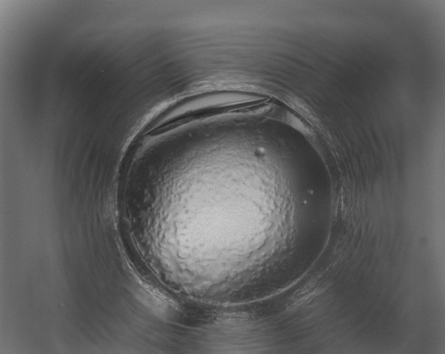X0000058130438200509261304
