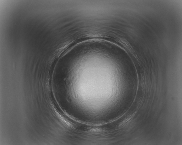 X0000058130441200509261305
