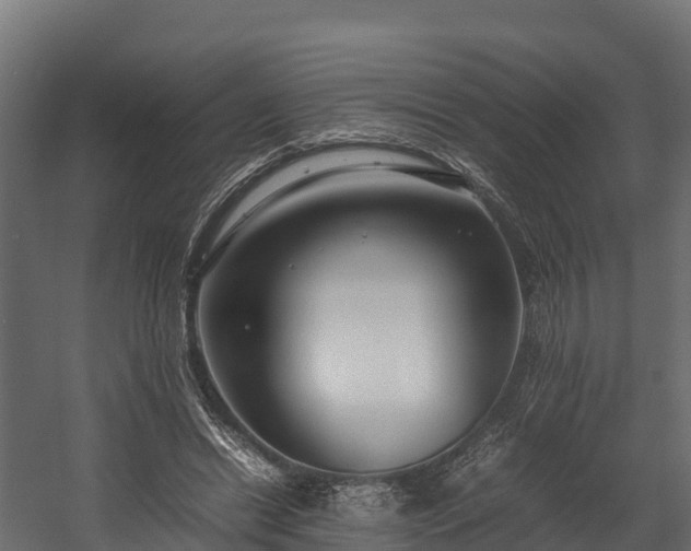 X0000058130446200509261305