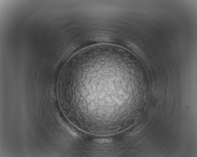 X0000058130449200509261305