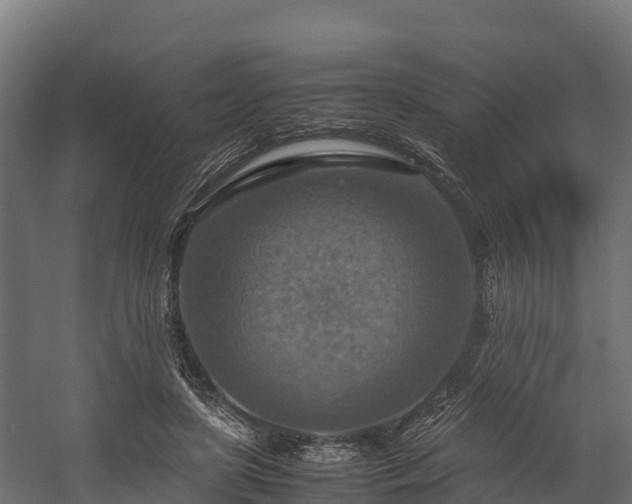 X0000058130451200509261305