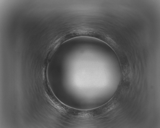 X0000058130454200509261305