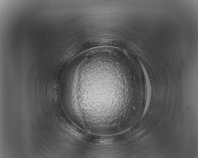 X0000058130462200509261305