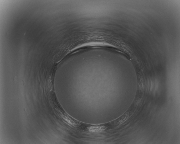 X0000058130465200509261305