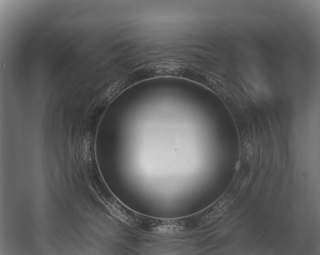 X0000058130468200509261305