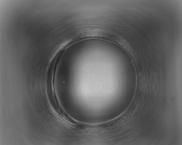X0000058130482200509261304