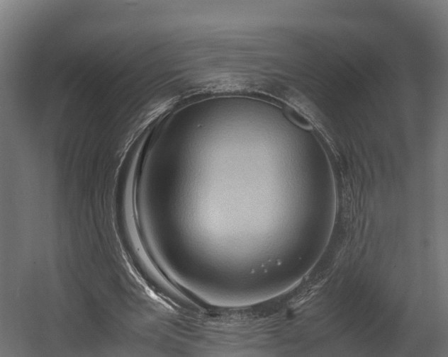 X0000058130485200509261304