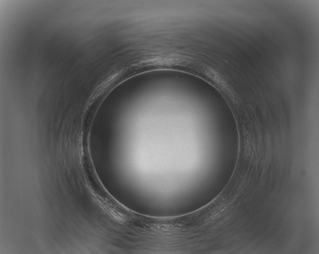 X0000058130486200509261304