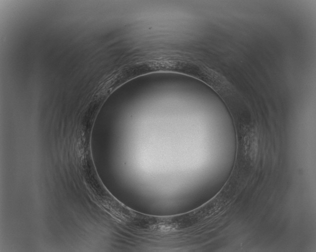 X0000058130498200509261304