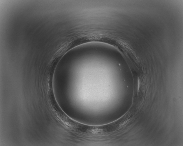 X0000058130501200509261304