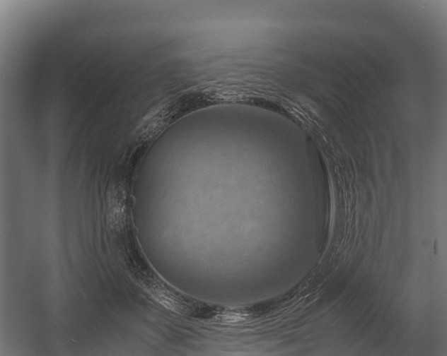 X0000058130507200509261304