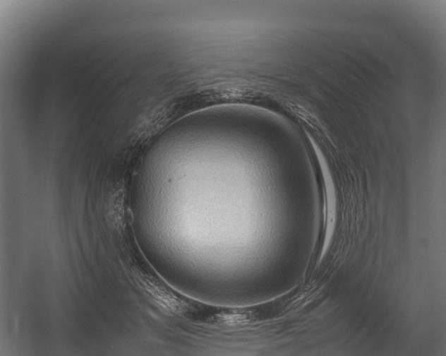 X0000058130509200509261304