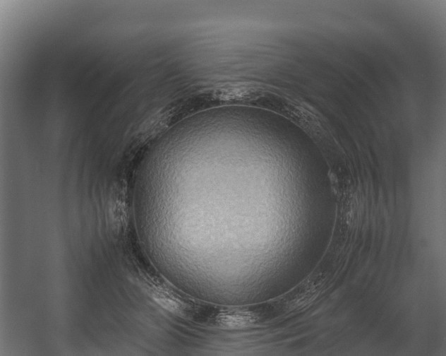 X0000058130510200509261304