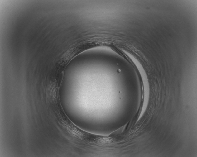 X0000058130513200509261304