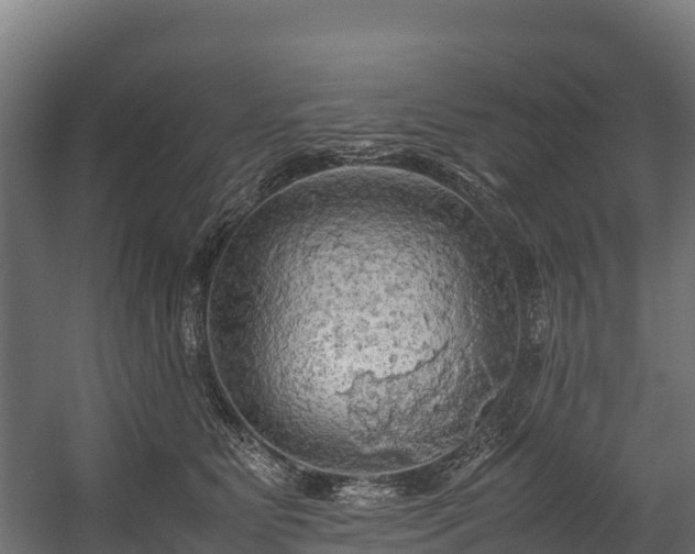 X0000058130515200509261304