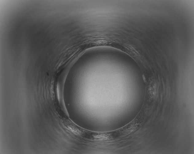 X0000058130516200509261304