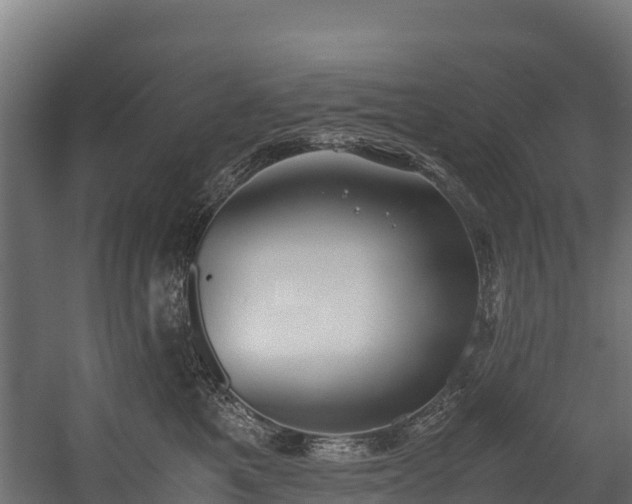 X0000058130521200509261304