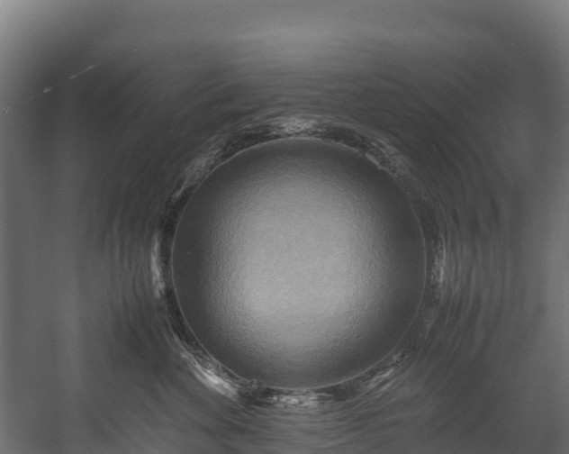 X0000058130524200509261304