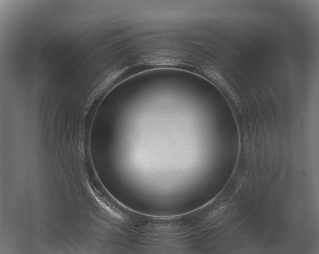 X0000058130533200509261303