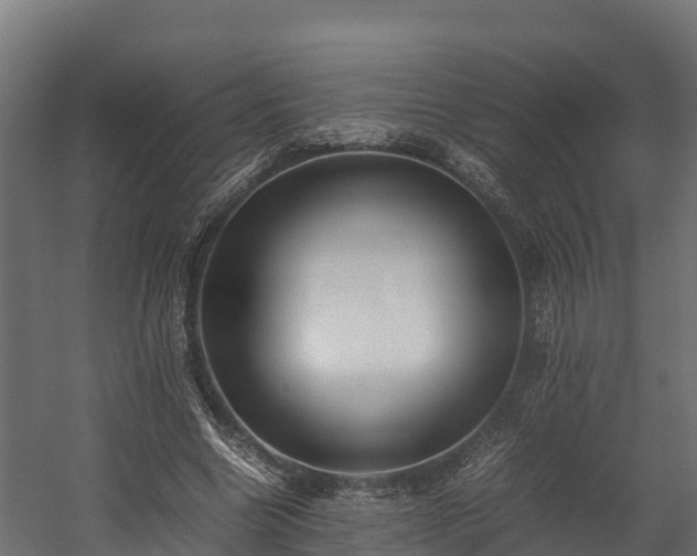 X0000058130538200509261303