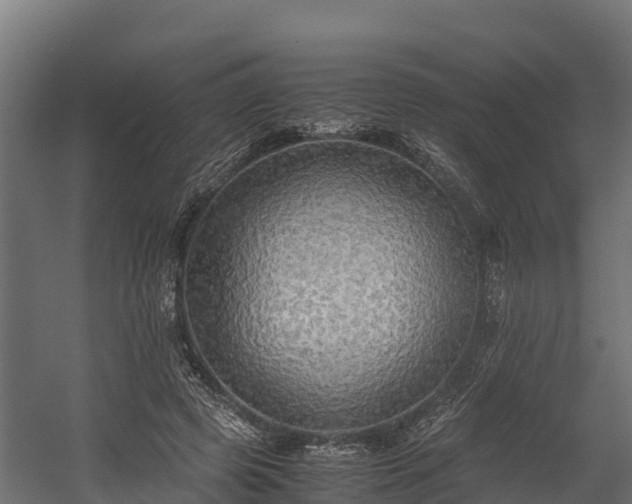 X0000058130545200509261303