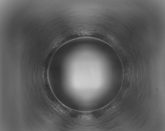 X0000058130548200509261303