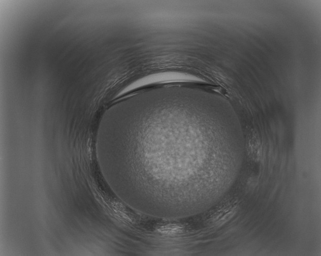 X0000058130551200509261303