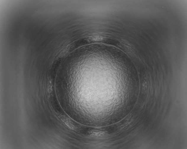 X0000058130555200509261303
