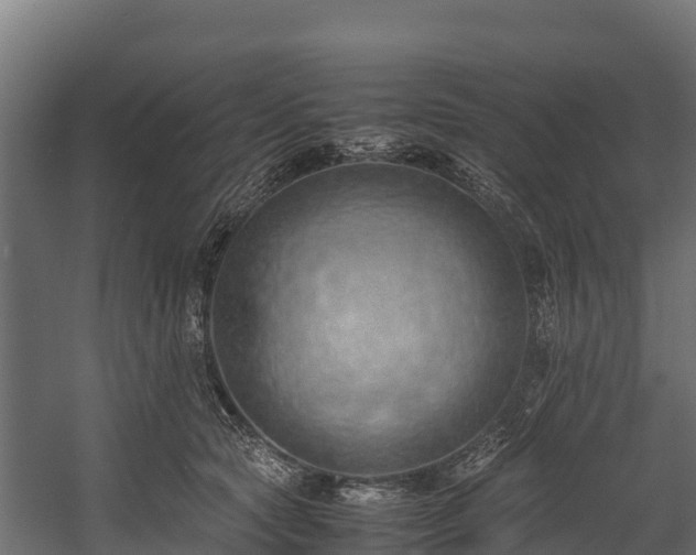 X0000058130561200509261303