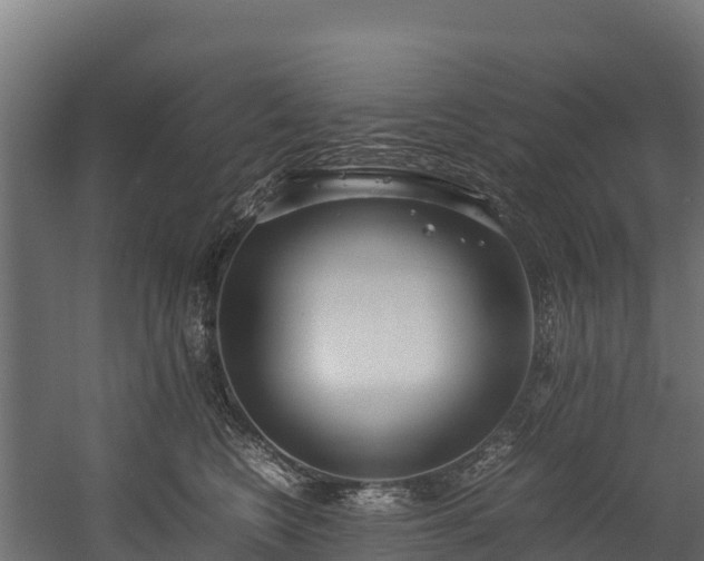 X0000058130566200509261303